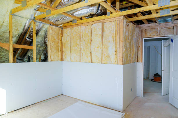 Insulation Inspection Services in Princeville, IL