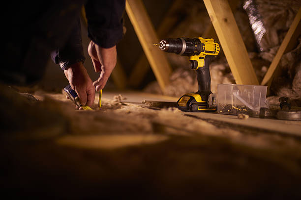 Best Insulation Removal  in Princevle, IL